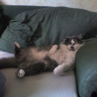 Photo #212692 de Booba