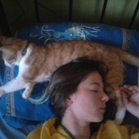Photo #212740 de Cannaille