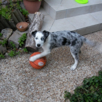 Photo #212868 de Dasha