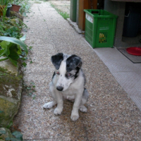 Photo #212869 de Dasha