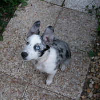 Photo #212871 de Dasha