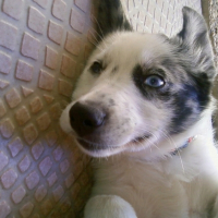 Photo #212872 de Dasha