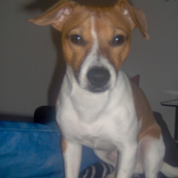 Photo #212873 de Droopy