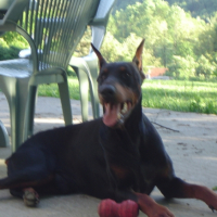 Photo #212875 de Ruby o'brain