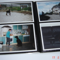 Photo #212876 de Ruby o'brain