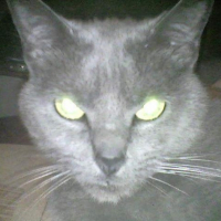 Photo #212894 de Luna