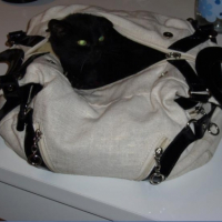 Photo #212895 de Isis