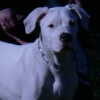 Photo #212898 de Byron