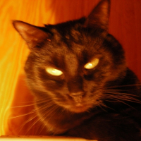 Photo #212925 de Asia