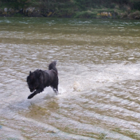 Photo #212927 de Romeo
