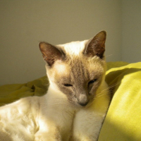Photo #212941 de Vanny