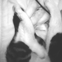 On la voie meme pa ^^