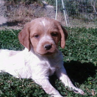 Photo #212987 de Dina