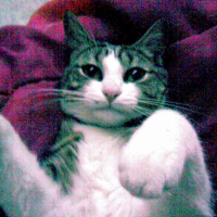 Photo #212996 de Chipie