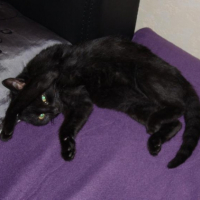 Photo #213013 de Isis