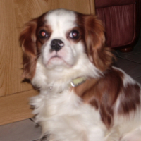 Photo #213017 de Ugo