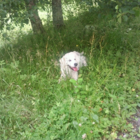 Photo #213063 de Domino