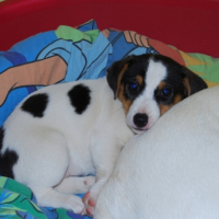 Photo #213074 de E-mail