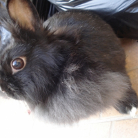 Photo #213177 de Lilou