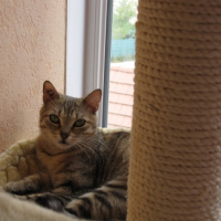 Photo #213191 de Effy