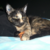 Photo #213307 de Hecate