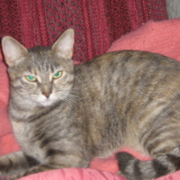 Photo #213381 de Pirouette