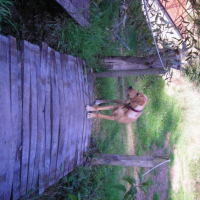 Photo #213388 de Junior