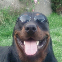 Photo #213443 de Adn,
