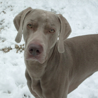Photo #213447 de Cony