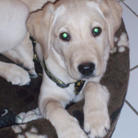 Photo #213473 de Baila