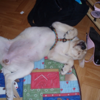 Photo #213474 de Baila
