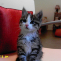 Photo #213494 de .