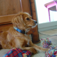 Photo #213523 de Domino