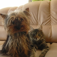 Photo #213533 de Coxie