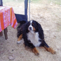 Photo #213606 de Mulan