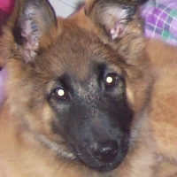 Photo #213633 de Aiiglon