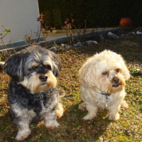 Photo #213649 de Prince