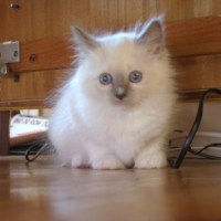 En pleine découverte