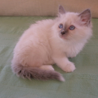 Arrêtez de me suivre, je ne vous connais pas !