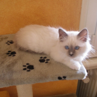 On ne peut vraiment pas être tranquille 5 mn !