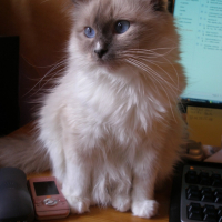 Ces leçons d'informatique, qu'est ce que c'est barbant !