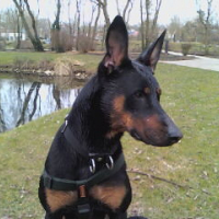 Photo #213696 de Saskia