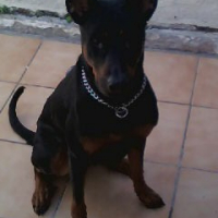 Photo #213704 de Saskia