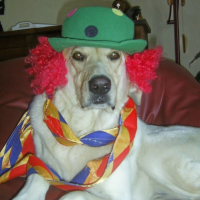 Photo #213714 de Piwi