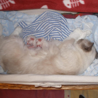 Miam ! Y a rien de meilleur !