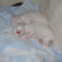 Colle toi plus ! Je sens comme un courant d'air.