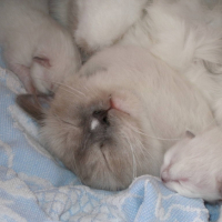 Elle est bien ma nouvelle écharpe pour l'hiver ?