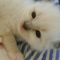 Oui ? C'est à quel sujet ?