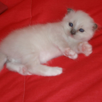 Quoi ? Qui me parle ?