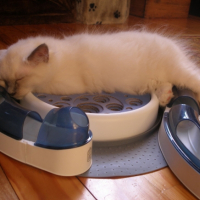 C'est épuisant de jouer !